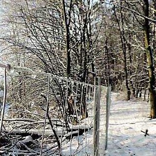 M+S Bauschuttdeponie bei Ktingen